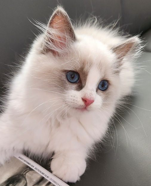 Lilith of Dryads Wood