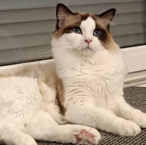 Moritz von den Fusselbärchen