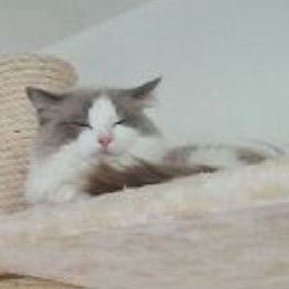 Filou of boundless Beauty