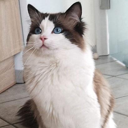 Keanu of Boundless Beauty